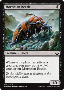 Mortitian Beetle