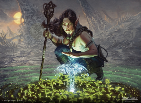 Obrázek z Magicové karty Lifespring Druid