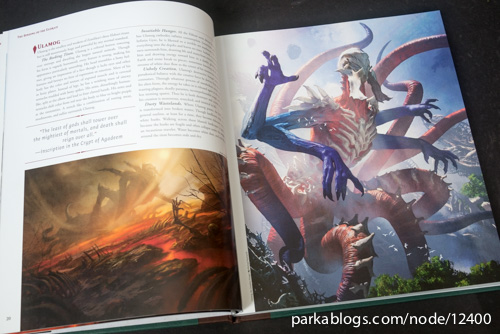 Pohled na knihu The Art of Magic: the Gathering: Zendikar 1