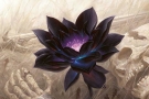 Obrázek z Magicové karty Black Lotus - nový art