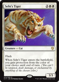 Seth's Tiger