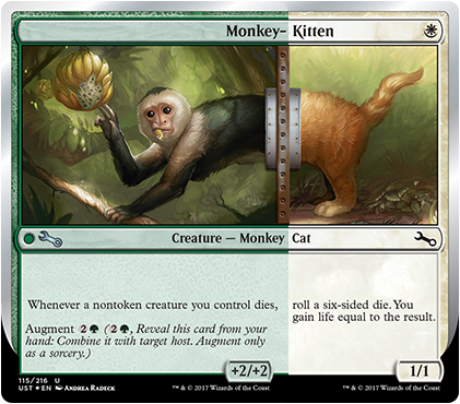 Monkey-Kitten