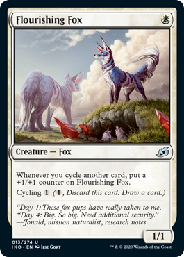 flourishing-fox.jpg