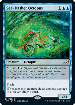 sea-dasher-octopus.jpg