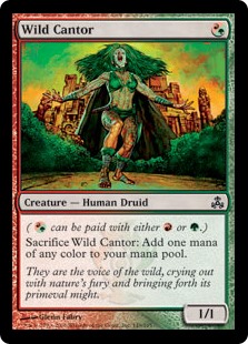 wild-cantor.jpg