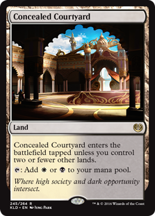 concealed-courtyard.jpg