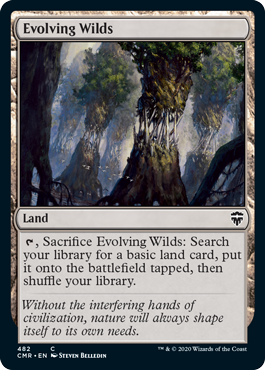 evolving-wilds.jpg