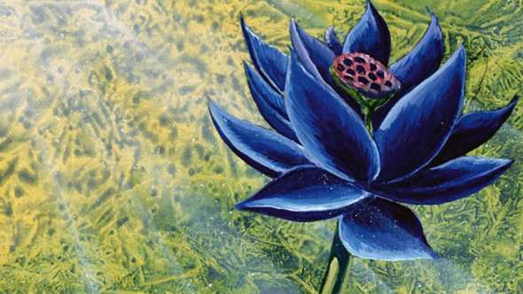 black-lotus-wallpaper.png