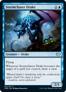 stormchaser-drake.jpg