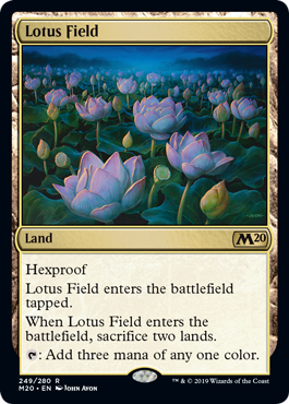lotus-field.jpg