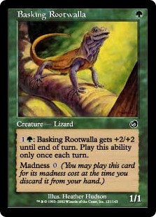 Basking Rootwalla