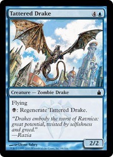 tattered drake