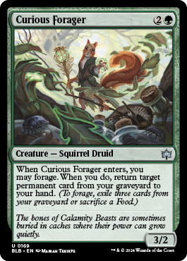 Curious Forager