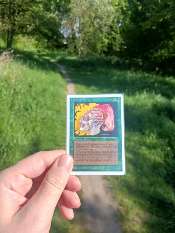 12 elf na prochajdě