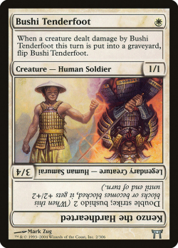 chk-2-bushi-tenderfoot.jpg