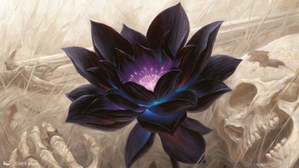 Black Lotus - Art Black Lotus - Art