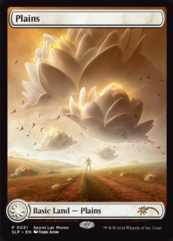 Plains