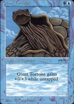 Giant Tortoise
