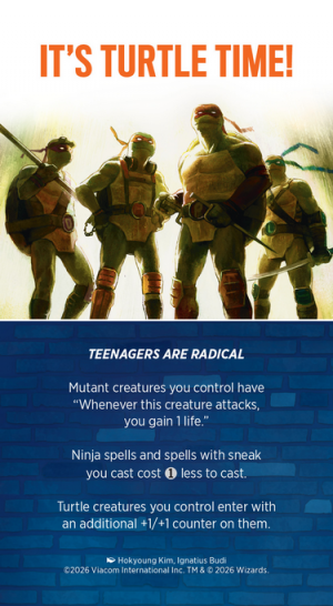 It's Turtle Time!