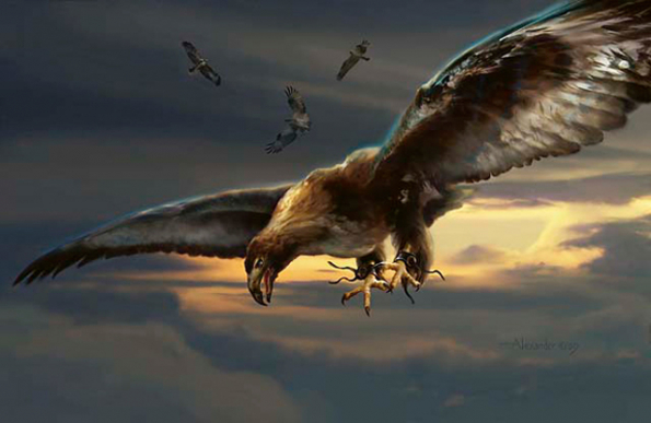 Squadron Hawk