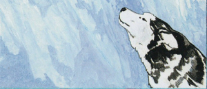 ice-cold-cover.jpg