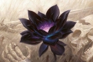 Obrázek z Magicové karty Black Lotus - nový art